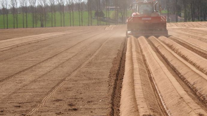Le marché du frais est assuré par un nombre beaucoup plus important de variétés.